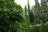 DSC03986.JPG