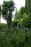 DSC03997.JPG