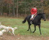 Hunting at Cedar Valley Farm Nov. 5th
