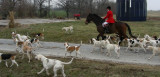 DSCN9543.JPG