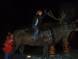 moose and squirrel 2.jpg