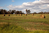 Day 18. Driving through dairy country