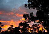 Red at night shepherds delight