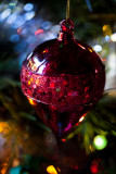 Festive  colour