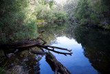 The Warren river and Karri forest