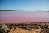 Hutt Lagoon / Pink Lake