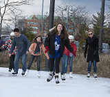 The Skaters