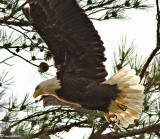 Moment of Take-Off