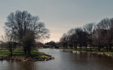 Looking at the river