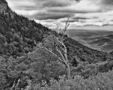 Blue Ridge Parkway