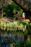 COLORED LIQUID - COLORS IN THE POND