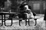 NO HOME