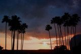PALM SUNSET