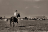 HORSE AND SILOS