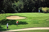 GOLFING IN THE HEAT