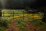 NO TRESPASSING
