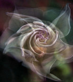 FROM CLOSED TO OPEN - WEEKLY CHALLENGE FOR LAYERS/SEPTEMBER TRANSITIONS
