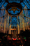 CURTAINS OF LIGHT