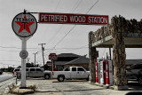 ANYONE WANNA BUY SOME PETRIFIED WOOD?