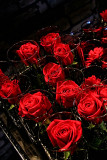 ROSES ARE RED