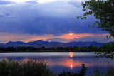 SUNSET GOOSE