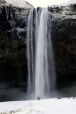 Seljalandsfoss