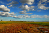 The Salt Plains, Wood Buffalo National Park