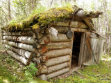 Albert Failie Cabin, Flat River