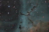 The Leaping Puma Nebula