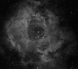 The Rosette Nebula Ha