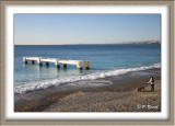 Promenade canine en Baie de Nice - 0604