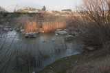 Selcuk Artemis Temple March 2011 3464.jpg