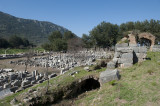 Ephesus March 2011 3509.jpg