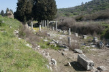 The Procession Road in Ephesus