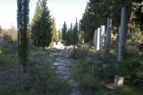 Ephesus March 2011 3517.jpg