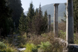 Ephesus March 2011 3539.jpg