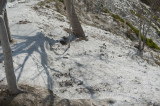 Pamukkale March 2011 4205.jpg