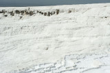 Pamukkale March 2011 4874.jpg