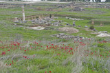 Hierapolis March 2011 4985.jpg