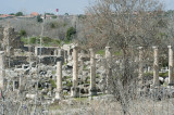 Aphrodisias March 2011 4451.jpg