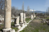 Aphrodisias March 2011 4490.jpg