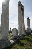 Aphrodisias March 2011 4543.jpg