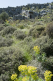 Xanthos March 2011 5248.jpg