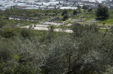 Xanthos March 2011 5281.jpg