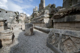 Myra March 2011 5957.jpg