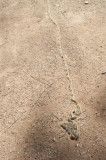 Izmir March 2011 6644.jpg