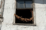 Amasya june 2011 7700.jpg