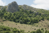 Amasya june 2011 7784.jpg