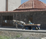 Erzurum june 2011 8619.jpg