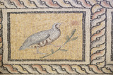 Gaziantep Zeugma Museum December 2011 2040.jpg